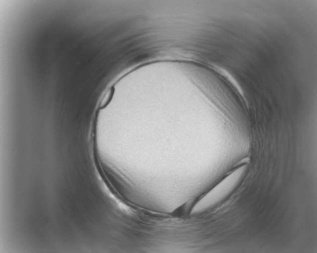 X0000070171387200606231909