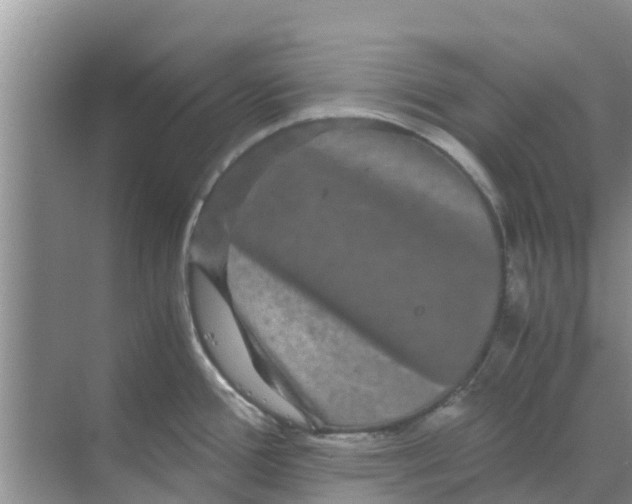 X0000070171388200606231909