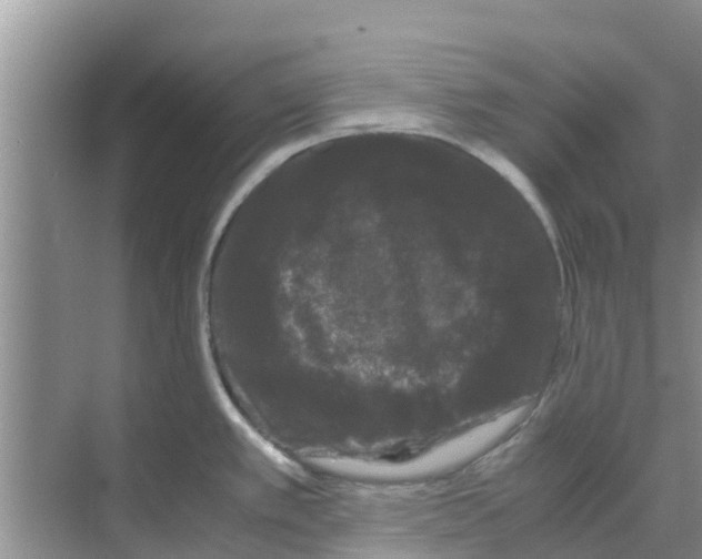 X0000070171389200606231909