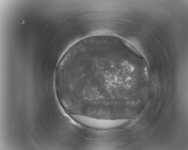 X0000070171390200606231909