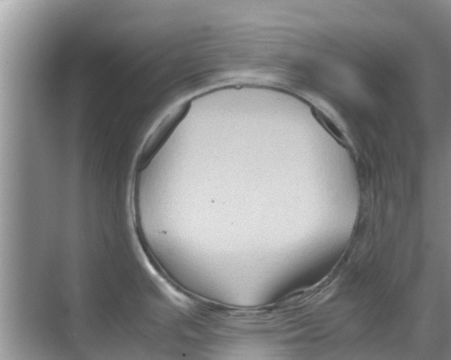 X0000070171391200606231909