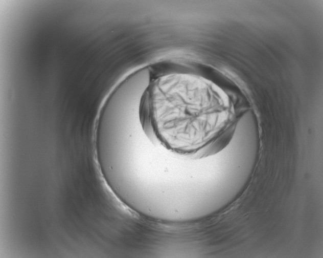 X0000070171392200606231909