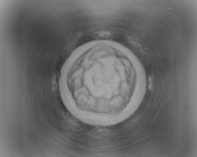 X0000070171395200606231909