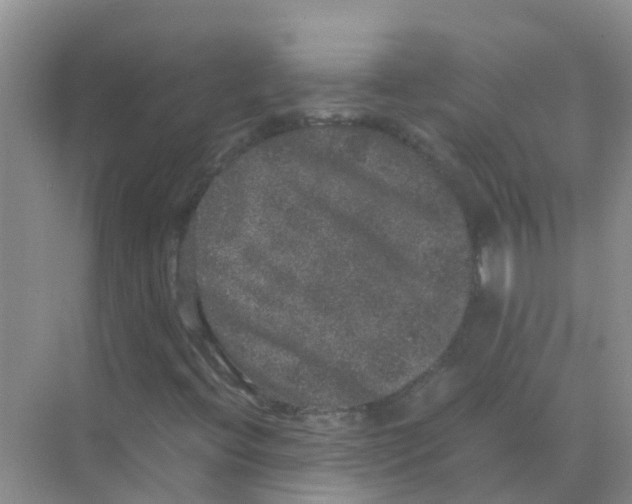 X0000070171396200606231909