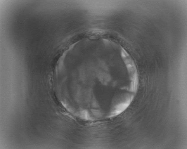 X0000070171397200606231909