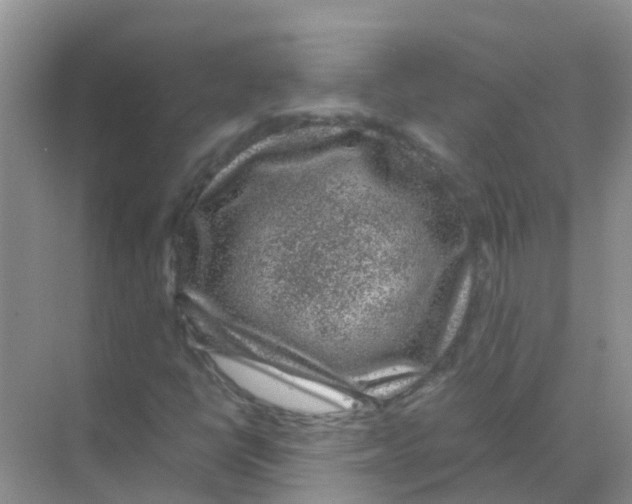 X0000070171398200606231909