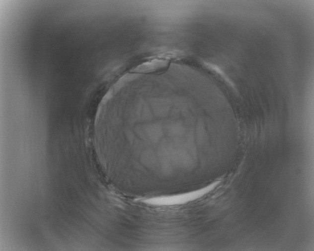 X0000070171399200606231909