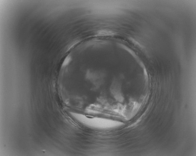 X0000070171401200606231909