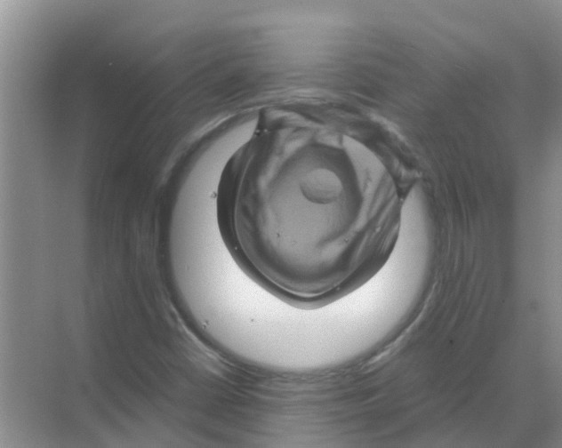 X0000070171402200606231909