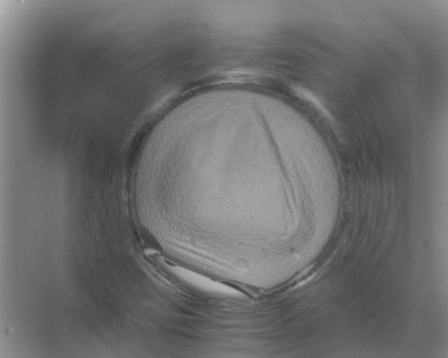 X0000070171403200606231909