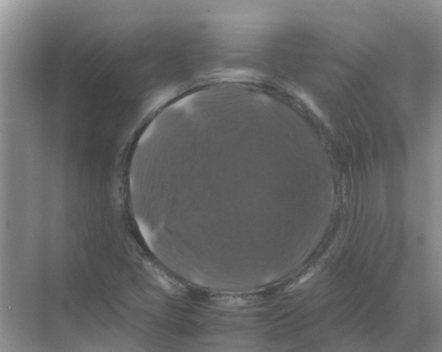 X0000070171405200606231909