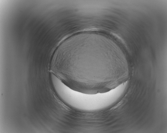 X0000070171409200606231909