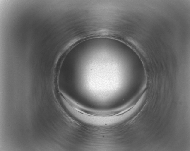 X0000070171410200606231909