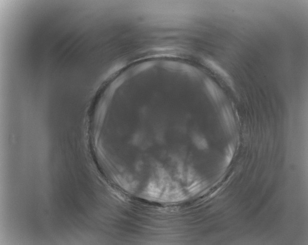 X0000070171411200606231909