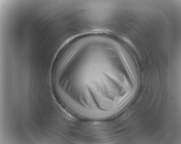 X0000070171412200606231909