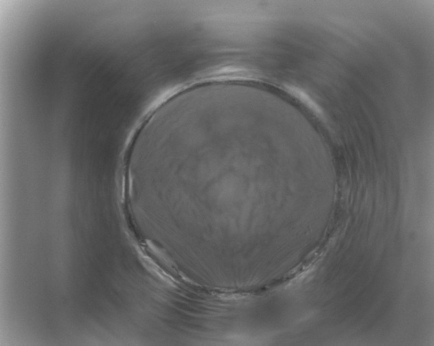 X0000070171413200606231909