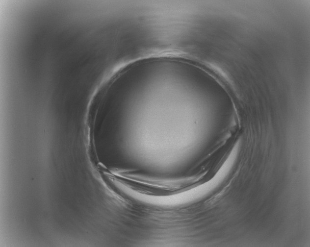 X0000070171414200606231909