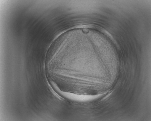 X0000070171417200606231909