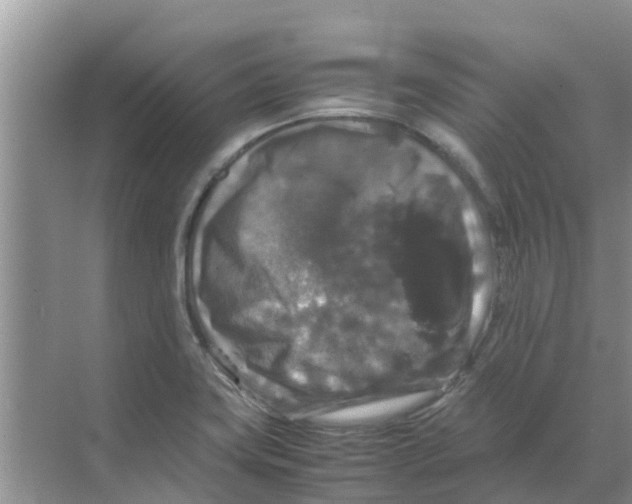 X0000070171419200606231909