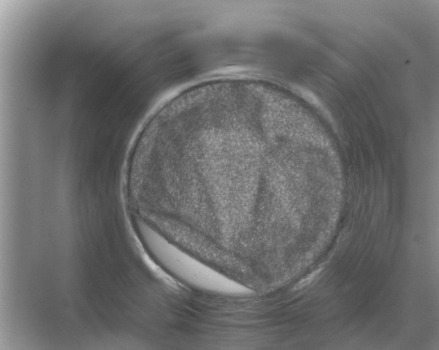 X0000070171421200606231909