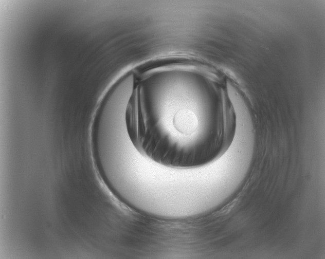 X0000070171422200606231909