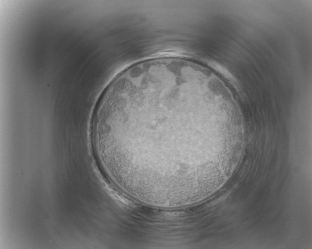 X0000070171423200606231909