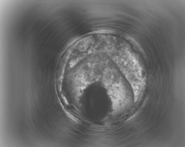 X0000070171425200606231909