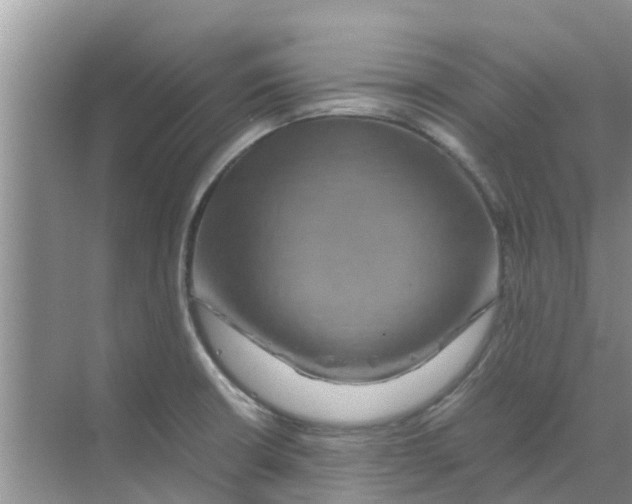 X0000070171426200606231909