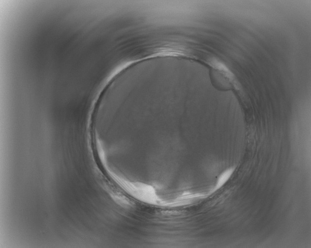 X0000070171427200606231909