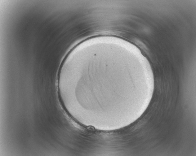 X0000070171428200606231909