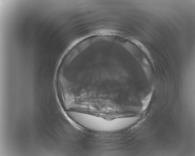 X0000070171429200606231909