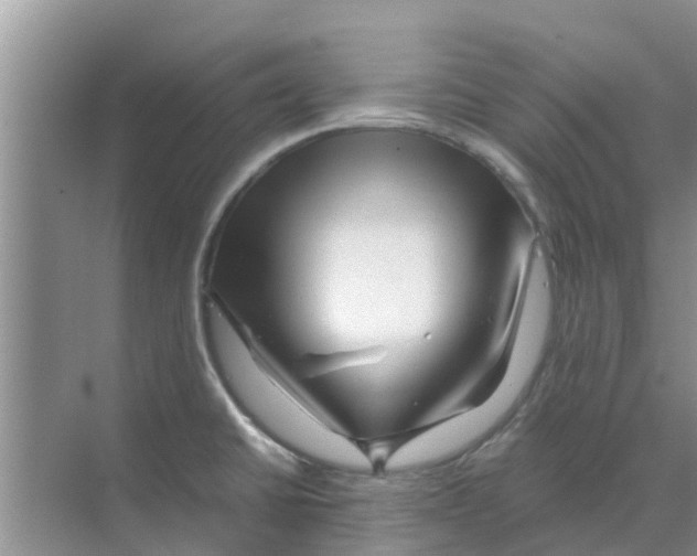 X0000070171430200606231909