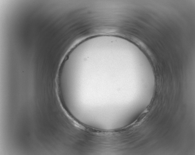 X0000070171432200606231909