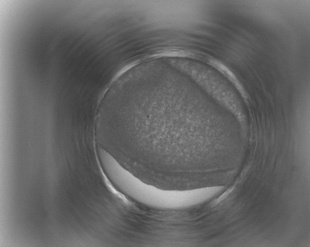 X0000070171433200606231909