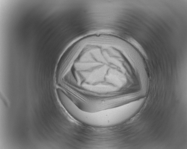 X0000070171436200606231909