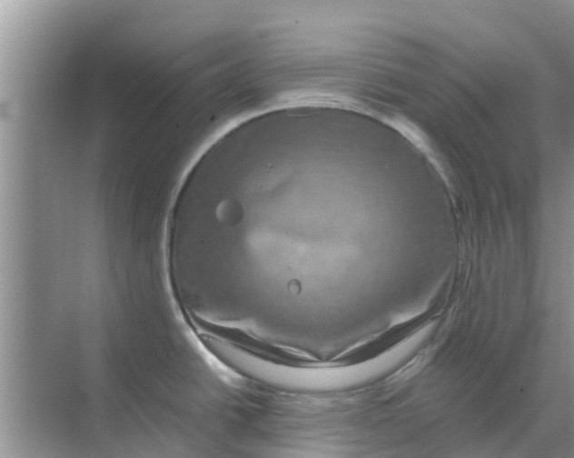 X0000070171438200606231909