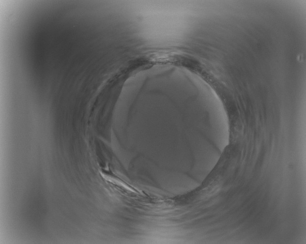 X0000070171441200606231908