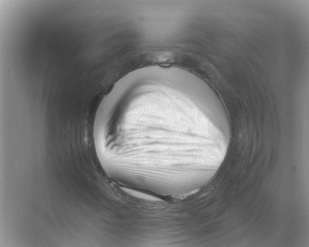 X0000070171442200606231908