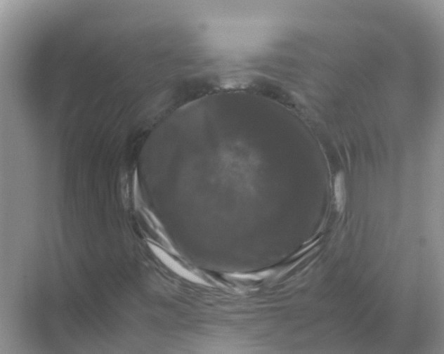 X0000070171443200606231908