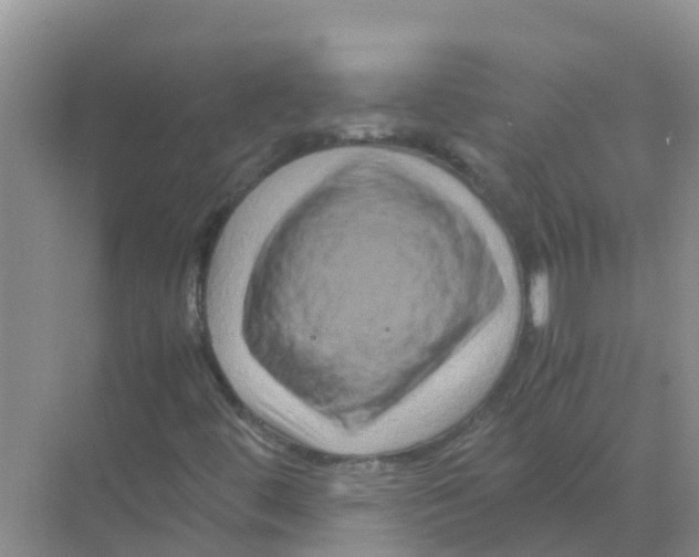 X0000070171444200606231908