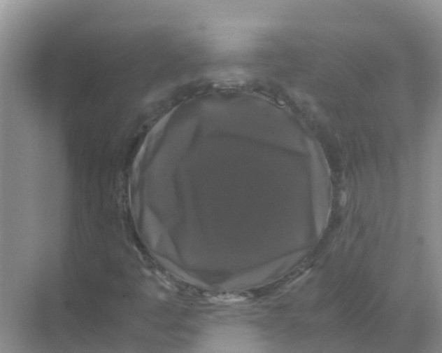 X0000070171445200606231908