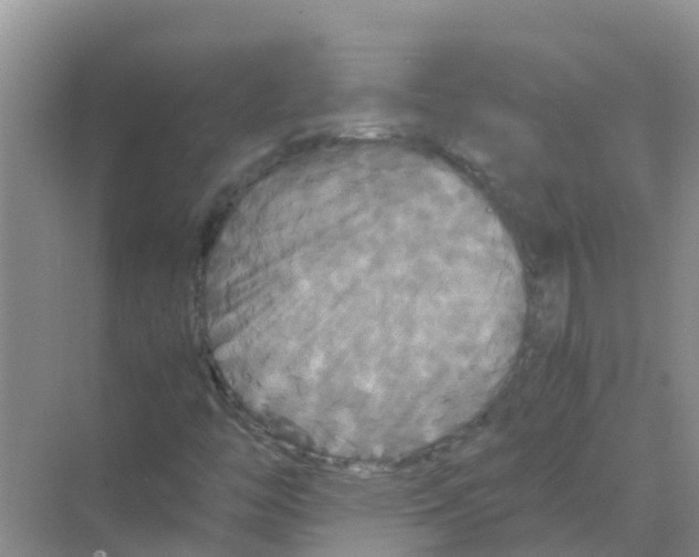 X0000070171446200606231908