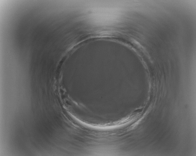 X0000070171449200606231908