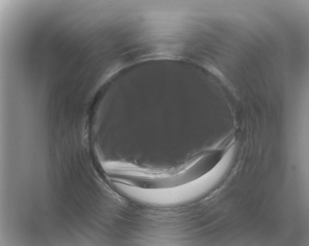 X0000070171450200606231908