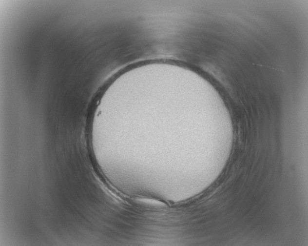 X0000070171452200606231908