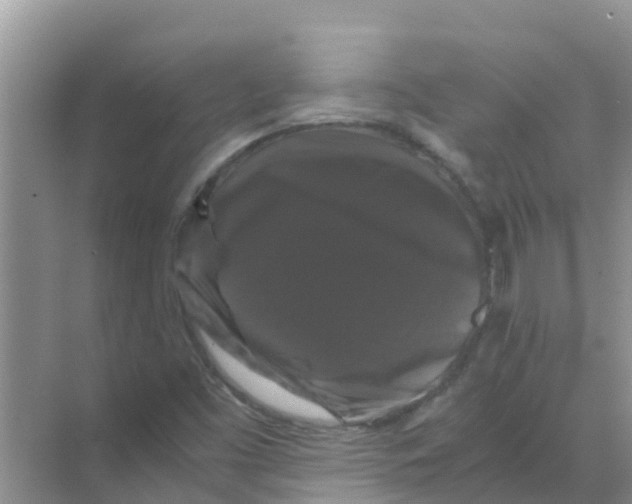 X0000070171453200606231908