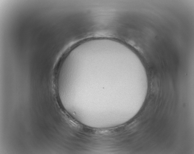 X0000070171454200606231908