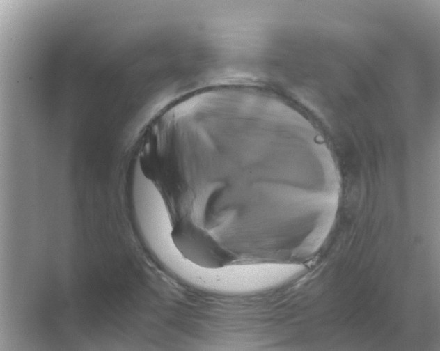 X0000070171455200606231908