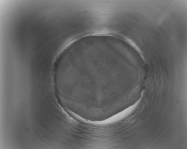 X0000070171456200606231908