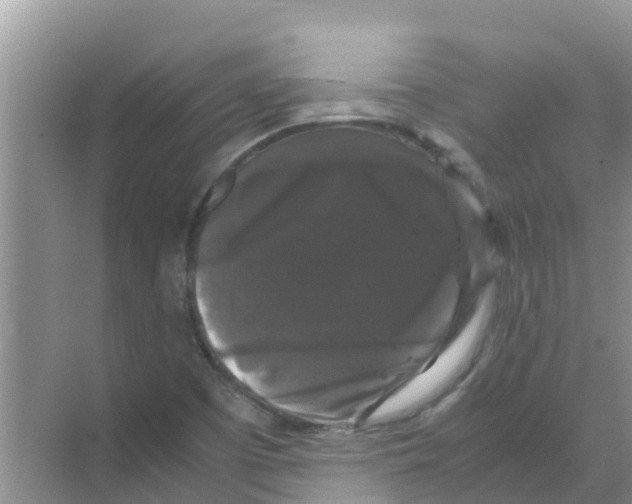 X0000070171457200606231908